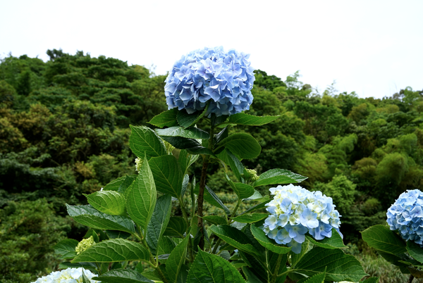 螢幕快照 2015-05-19 下午7.44.56