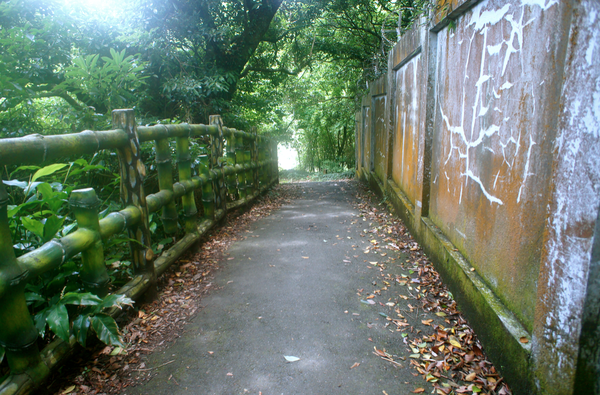 螢幕快照 2015-05-19 下午6.59.23