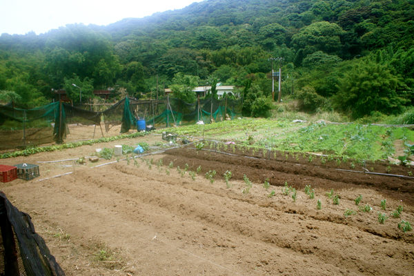 螢幕快照 2015-05-19 下午6.59.45