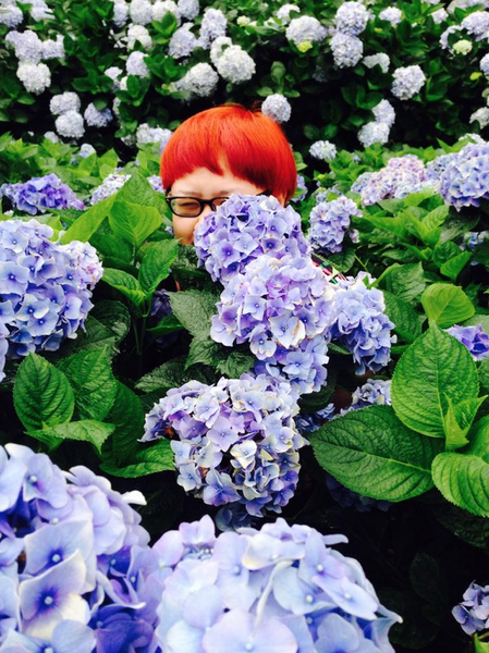 螢幕快照 2015-05-19 下午7.36.13