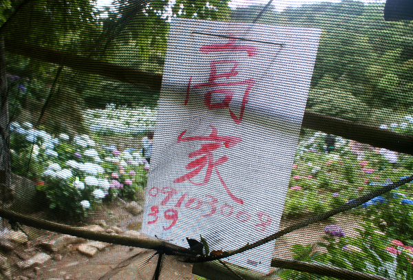 螢幕快照 2015-05-19 下午7.32.15