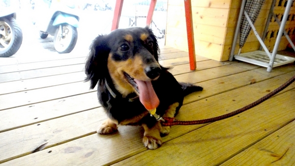 十八町拉麵店:【台中】會噴火的地獄拉麵!十八町拉麵店!