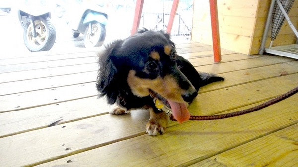 十八町拉麵店:【台中】會噴火的地獄拉麵!十八町拉麵店!