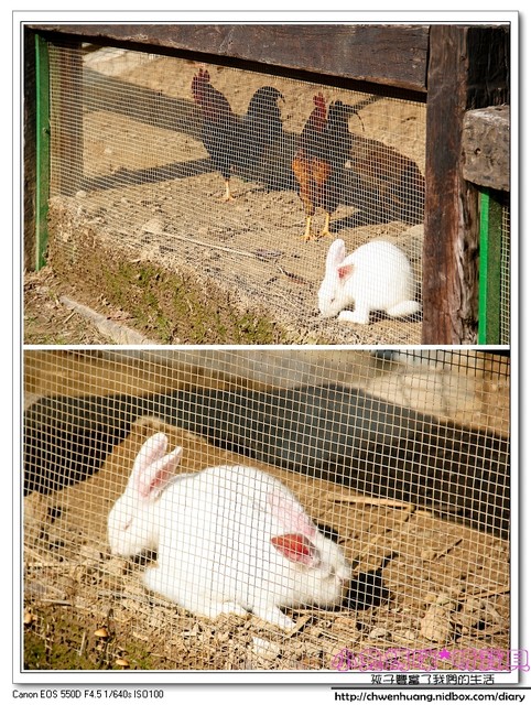 心鮮森林莊園餐廳：【美食♥新竹】☼心鮮森林莊園餐廳☼風景美氣氛佳,空氣清新,一起度過美好時光♥♥
