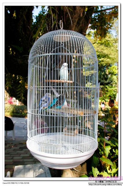 心鮮森林莊園餐廳：【美食♥新竹】☼心鮮森林莊園餐廳☼風景美氣氛佳,空氣清新,一起度過美好時光♥♥