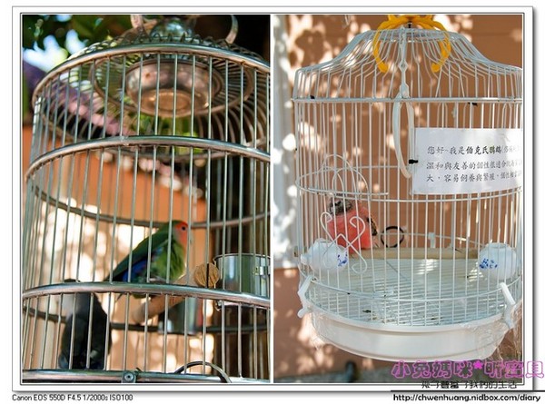 心鮮森林莊園餐廳：【美食♥新竹】☼心鮮森林莊園餐廳☼風景美氣氛佳,空氣清新,一起度過美好時光♥♥