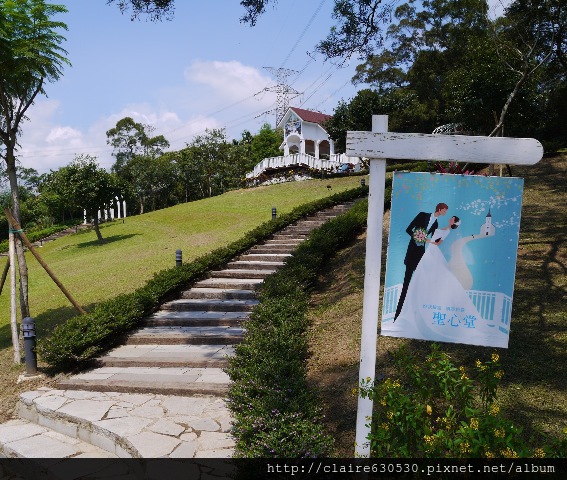 新竹新鮮森林修圖 045