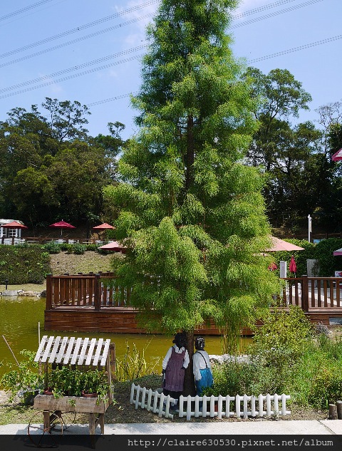 佩斯坦修圖部分 015