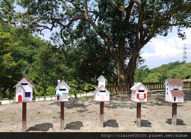 新竹新鮮森林修圖 014