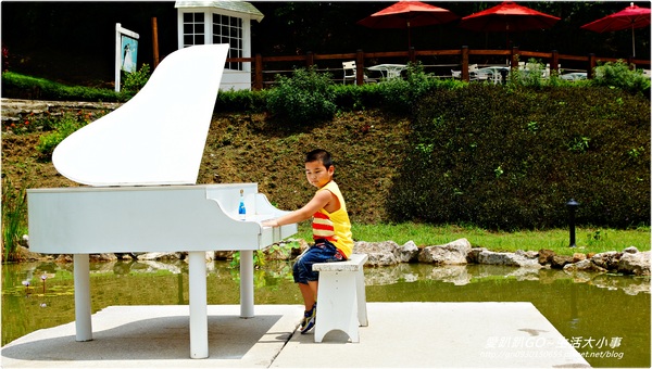 心鮮森林莊園：【新竹/芎林】熱門拍婚紗的景點~超多芬多精♪♪心鮮森林莊園♪♪