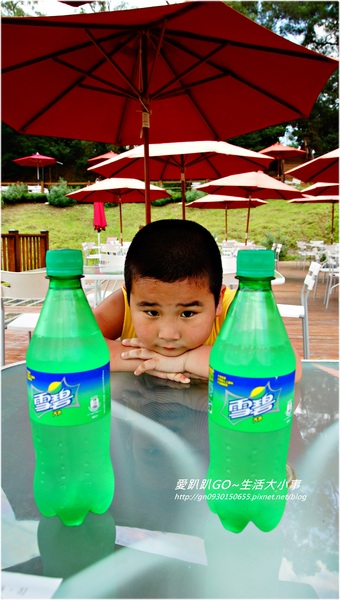 心鮮森林莊園：【新竹/芎林】熱門拍婚紗的景點~超多芬多精♪♪心鮮森林莊園♪♪