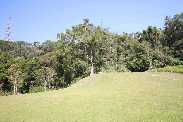 【新竹旅遊】心鮮森林莊園餐廳-假日休閒旅遊好去處