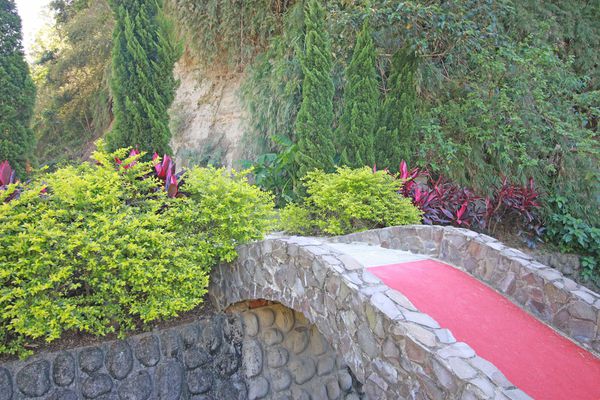 【新竹旅遊】心鮮森林莊園餐廳-假日休閒旅遊好去處