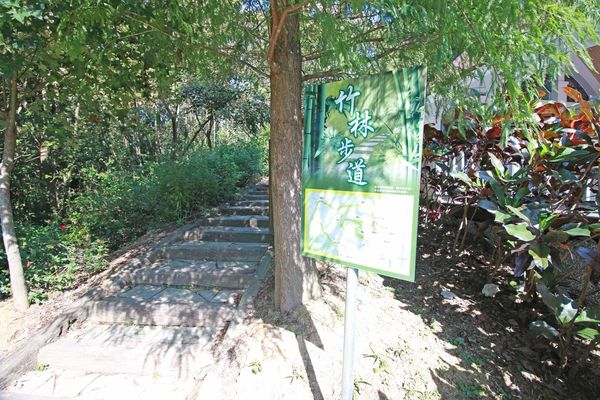 【新竹旅遊】心鮮森林莊園餐廳-假日休閒旅遊好去處