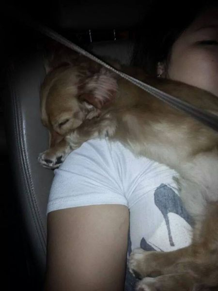 10155757_913340112012029_8114931797902387680_n