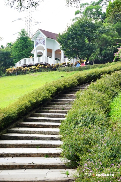 2014-08-30 心鮮森林_21.JPG