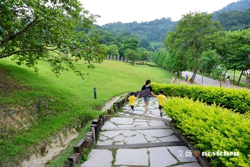 2014-08-30 心鮮森林_29.JPG