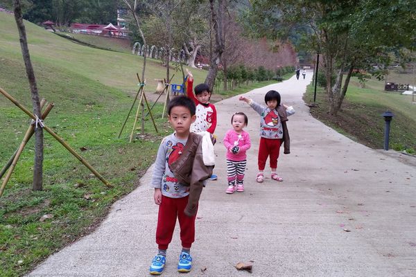 ﹝新竹芎林﹞心鮮森林