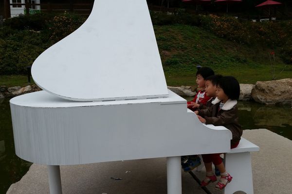 ﹝新竹芎林﹞心鮮森林