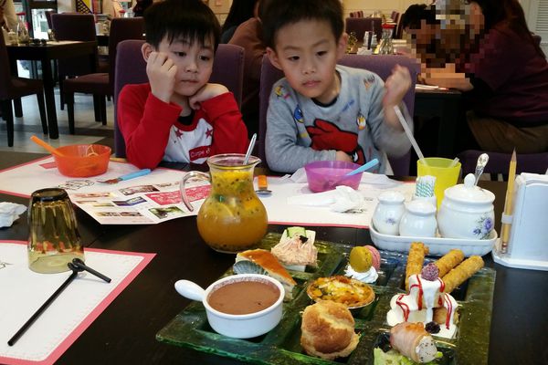 ﹝新竹芎林﹞心鮮森林