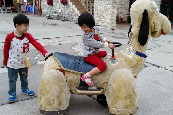 ﹝新竹芎林﹞心鮮森林