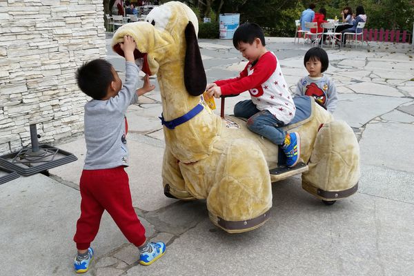 ﹝新竹芎林﹞心鮮森林