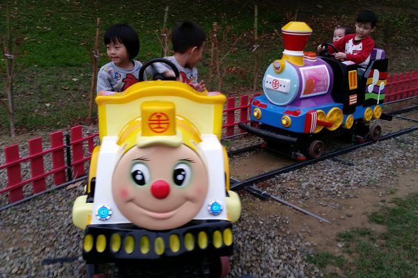 ﹝新竹芎林﹞心鮮森林