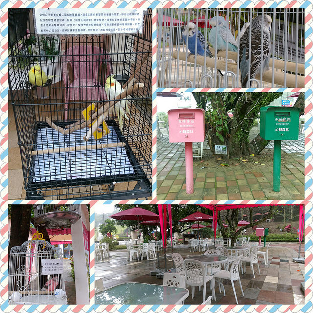 PhotoGrid_1458461890706