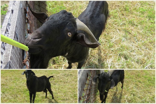 墾丁托斯卡尼渡假莊園：美麗的邂逅【墾丁托斯卡尼渡假莊園】