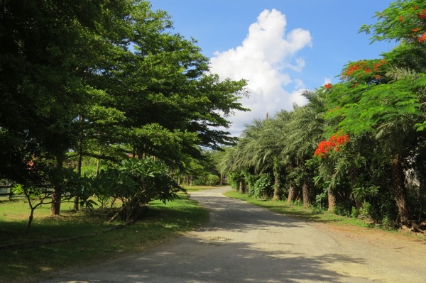 墾丁托斯卡尼渡假莊園：美麗的邂逅【墾丁托斯卡尼渡假莊園】