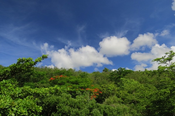 墾丁托斯卡尼渡假莊園：美麗的邂逅【墾丁托斯卡尼渡假莊園】