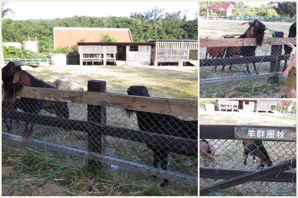 墾丁托斯卡尼渡假莊園：美麗的邂逅【墾丁托斯卡尼渡假莊園】