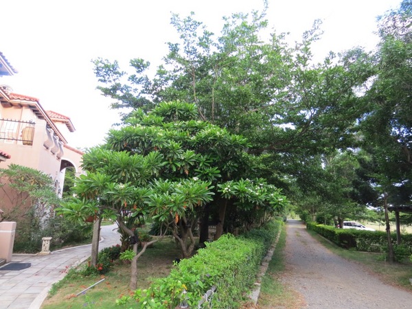 墾丁托斯卡尼渡假莊園：美麗的邂逅【墾丁托斯卡尼渡假莊園】