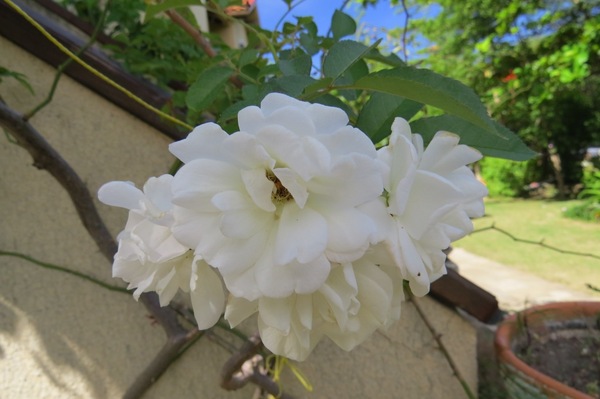 墾丁托斯卡尼渡假莊園：美麗的邂逅【墾丁托斯卡尼渡假莊園】