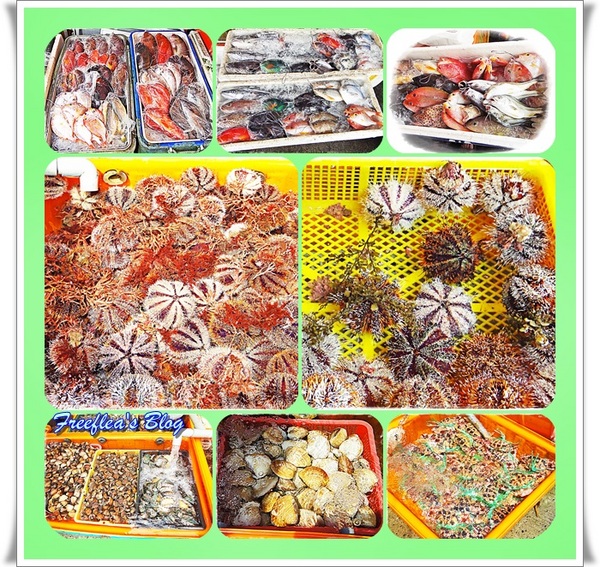 三明美食:✜ 意想不到滴新北市萬里龜吼漁港驚喜初體驗 -「三明美食」>O<…