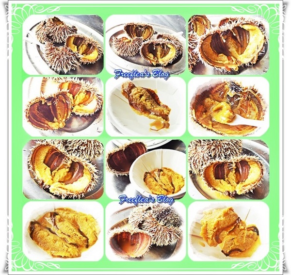 三明美食:✜ 意想不到滴新北市萬里龜吼漁港驚喜初體驗 -「三明美食」>O<…