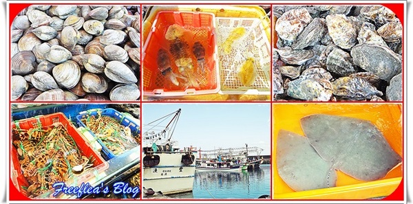 三明美食:✜ 來去龜吼漁港吃秋天滴萬里蟹海鮮大餐囉^^~ – 二訪「三明美食」