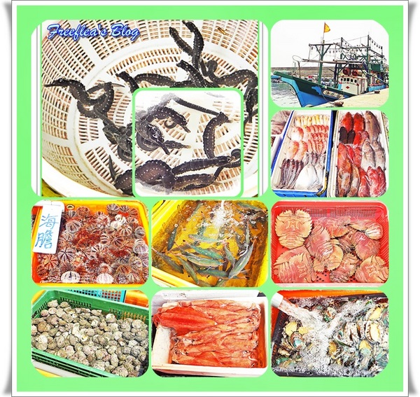 三明美食:✜ 意想不到滴新北市萬里龜吼漁港驚喜初體驗 -「三明美食」>O<…