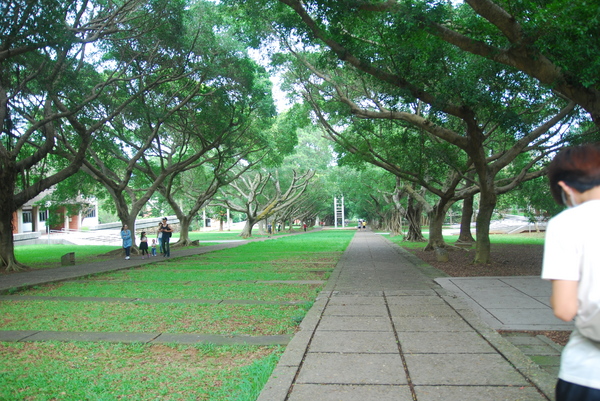 東海大學:東海大學-散步約會的好地方