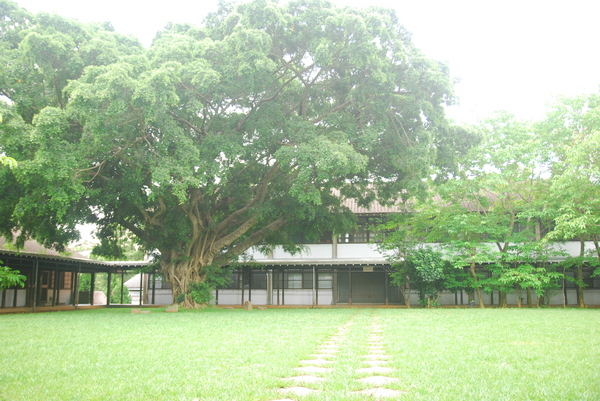 東海大學:東海大學-散步約會的好地方