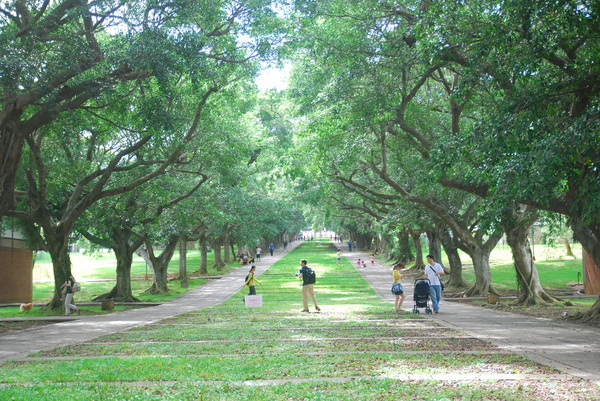 東海大學:東海大學-散步約會的好地方