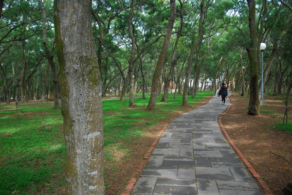 東海大學:東海大學-散步約會的好地方