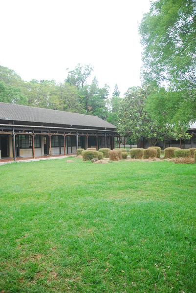 東海大學:東海大學-散步約會的好地方