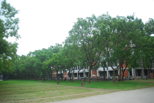 東海大學:東海大學-散步約會的好地方