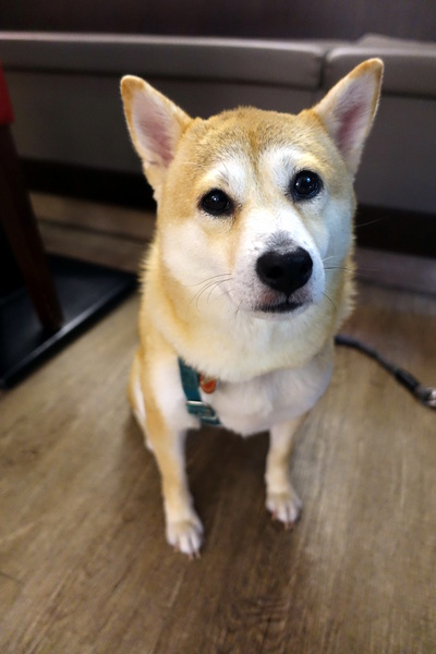 A.B House 義式私房料理：(胖樺食記)台北市大安區推薦餐廳“A.B House 義式私房料理” 。燉飯義大利麵/永康街/師大商圈/商業午餐