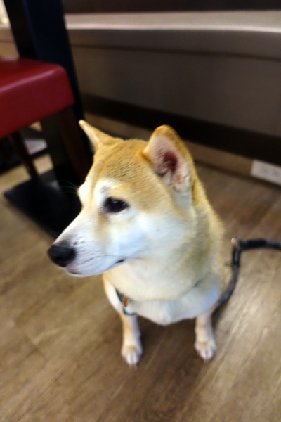 A.B House 義式私房料理：(胖樺食記)台北市大安區推薦餐廳“A.B House 義式私房料理” 。燉飯義大利麵/永康街/師大商圈/商業午餐