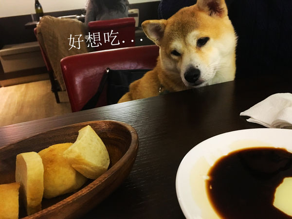 2016-03-25 19.11.04.jpg