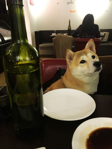 2016-03-25 19.40.00.jpg