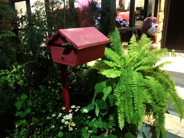 2016-03-25 18.52.06.jpg