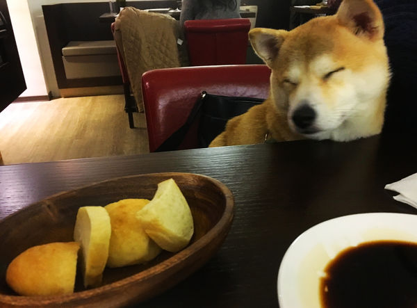 2016-03-25 19.10.57.jpg